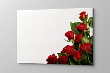 Obraz Roses of red 1438